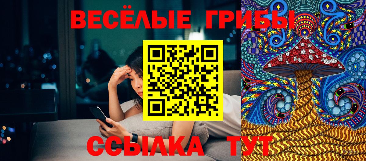 Галлюциногенные грибы мицелий  Вход с VPN  купить   Хасавюрт 